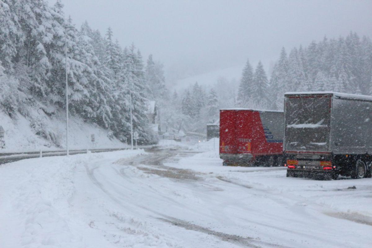 Ponekod bo snežilo do nižin