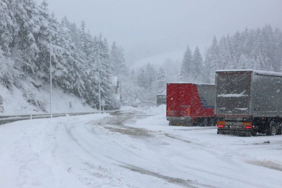 Ponekod bo snežilo do nižin