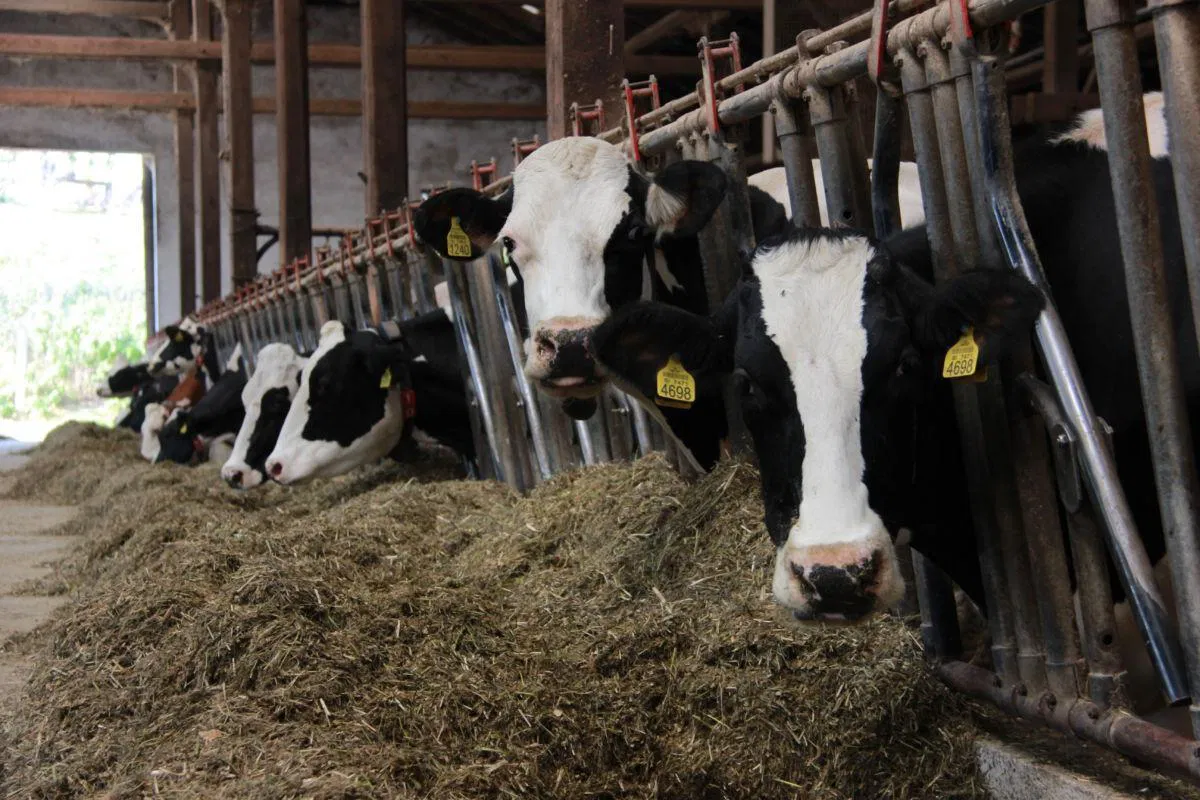 Devet milijonov evrov za naložbe v kmetijska gospodarstva