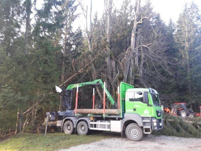 Najevska lipa rešena bremena obviselih smrek