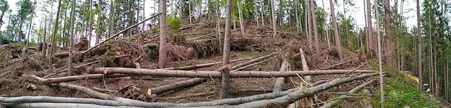 Škoda za posledicami vetroloma ocenjena, najhuje na območju Črne