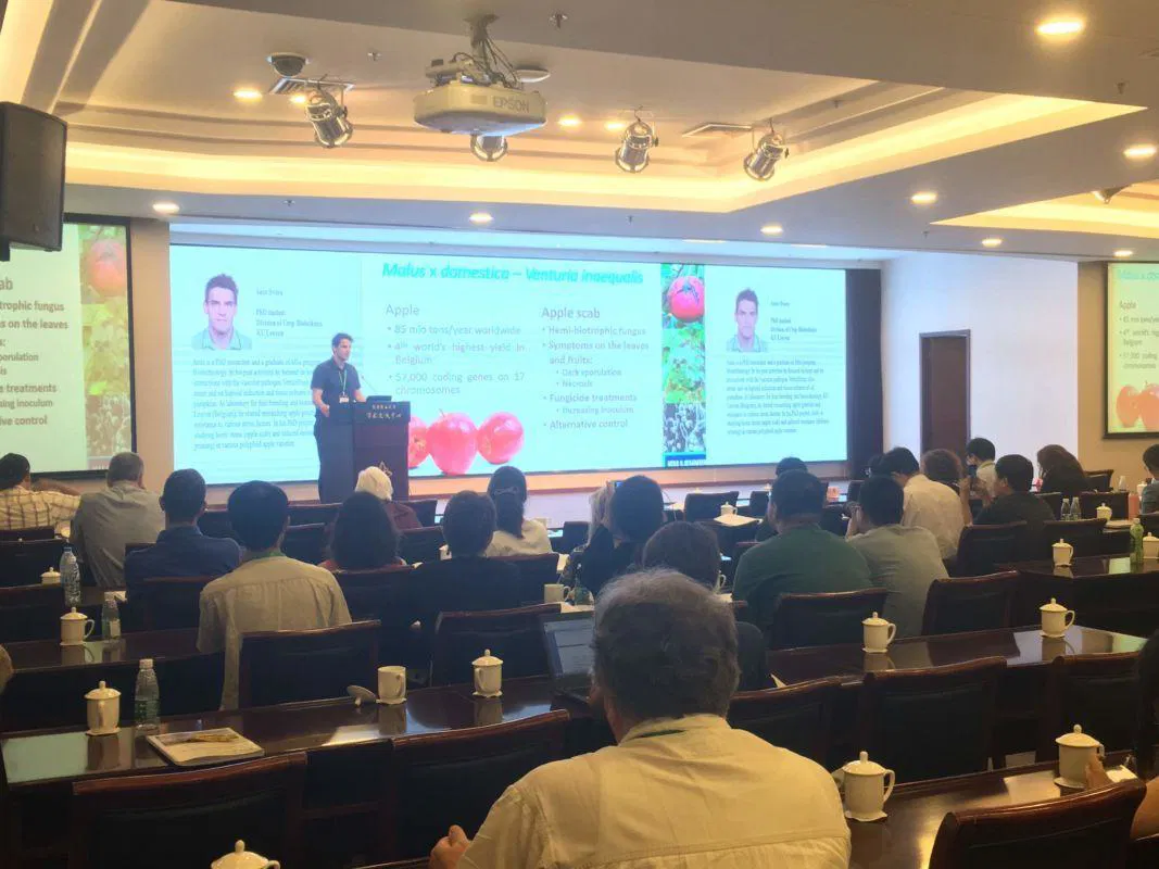 Koroška regija je dom starih sort jabolk, pravi doktorski raziskovalec Švara