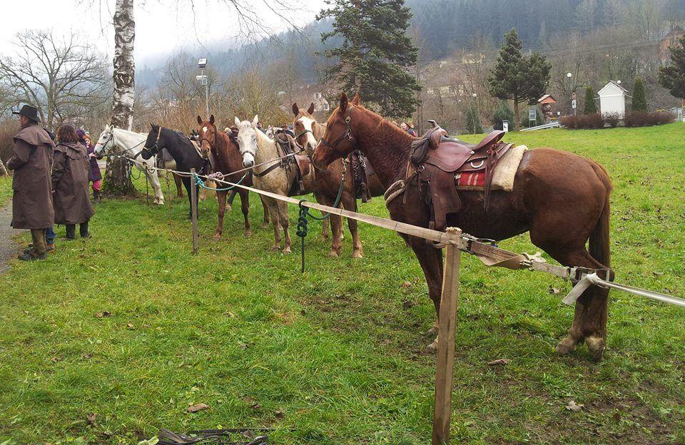 Na god sv. Štefana blagoslov konj na Lešah in v Vuhredu