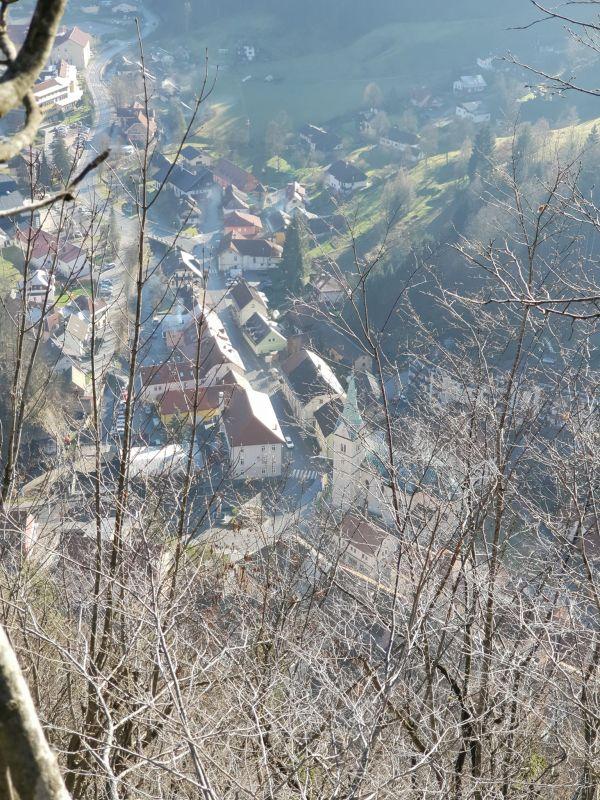 FOTO: Včeraj so v Črni pekli parklje, danes bodo krasili jelke