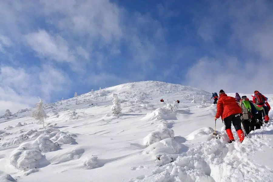 Planinsko društvo Mežica vabi na 34. Zimski pohod na Peco