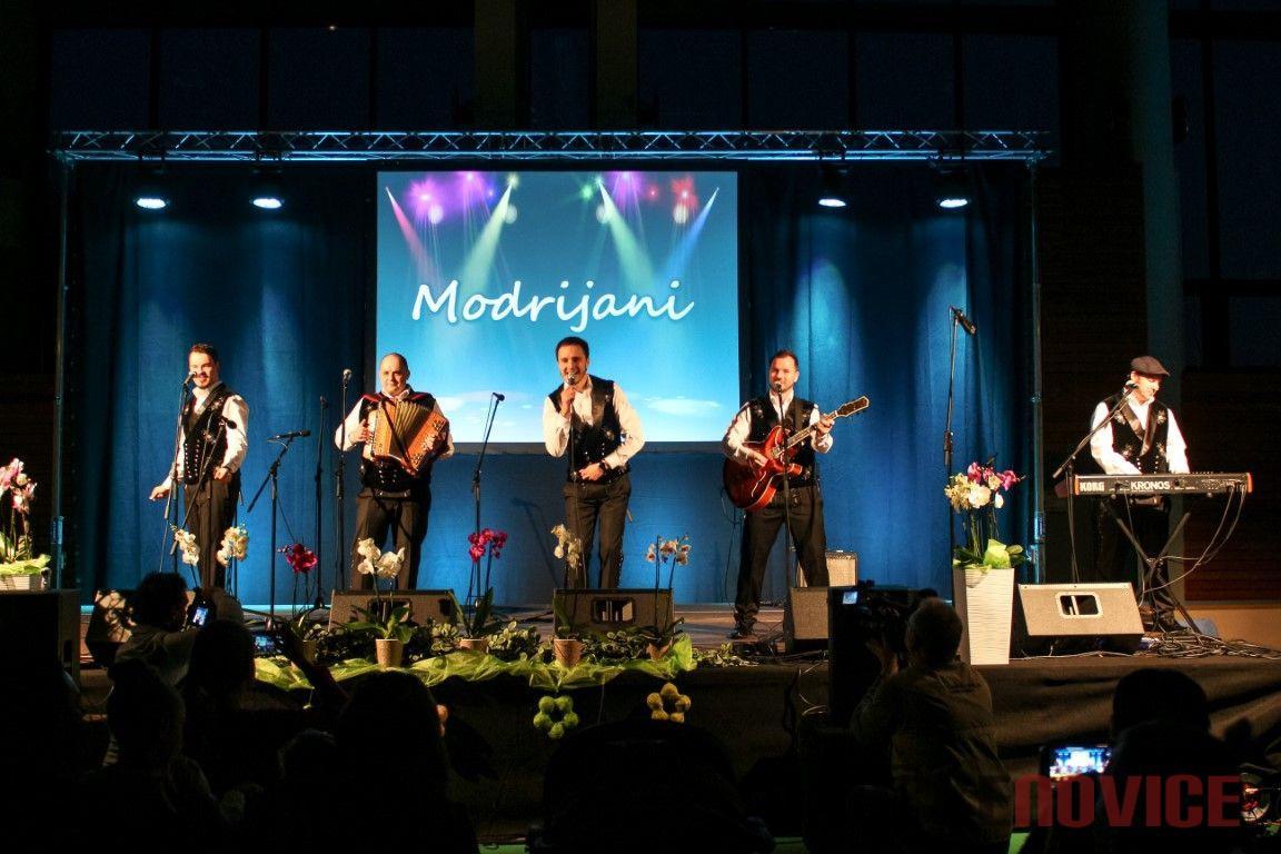 V Dravograd prihajajo "Modrijani osebno": Kot bi bili pri vas doma