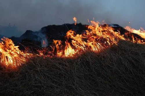 Po vsej državi razglašena velika požarna ogroženost