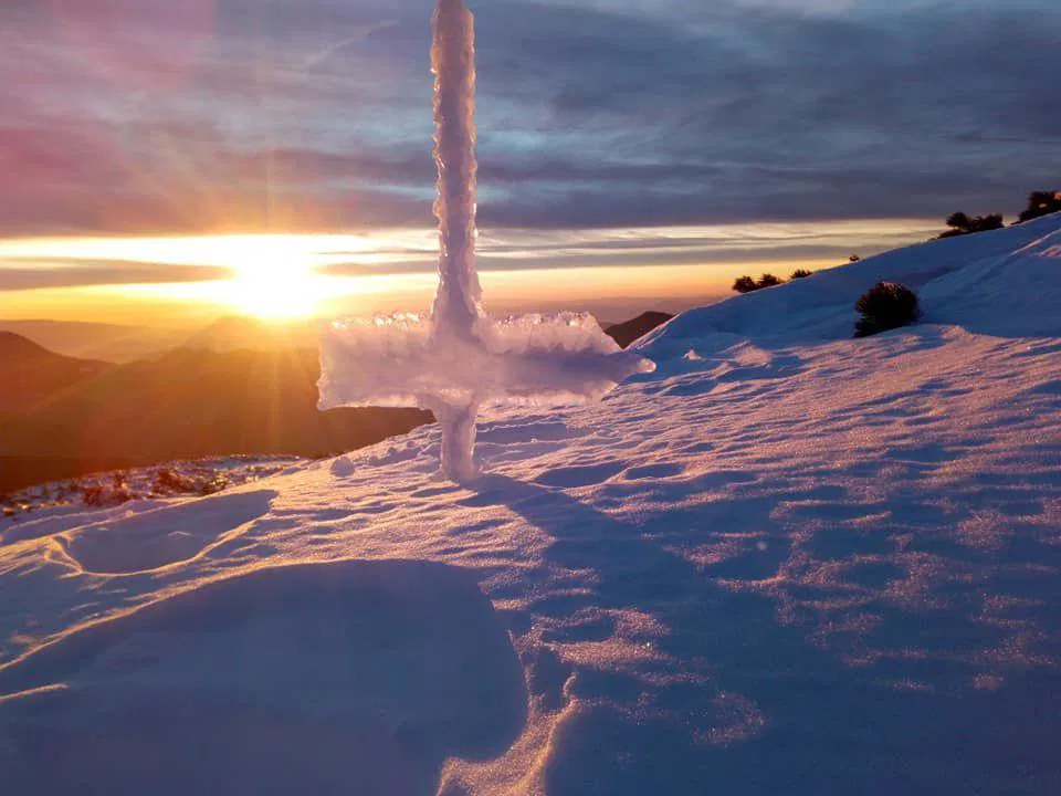 FOTO: Sončno vreme privabilo približno 500 udeležencev na 31. Matjažev pohod na Peco