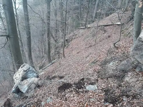 FOTO: Zaradi 5-tonske skale, ki predstavlja nevarnost zaprta cesta Dravograd - Trbonje