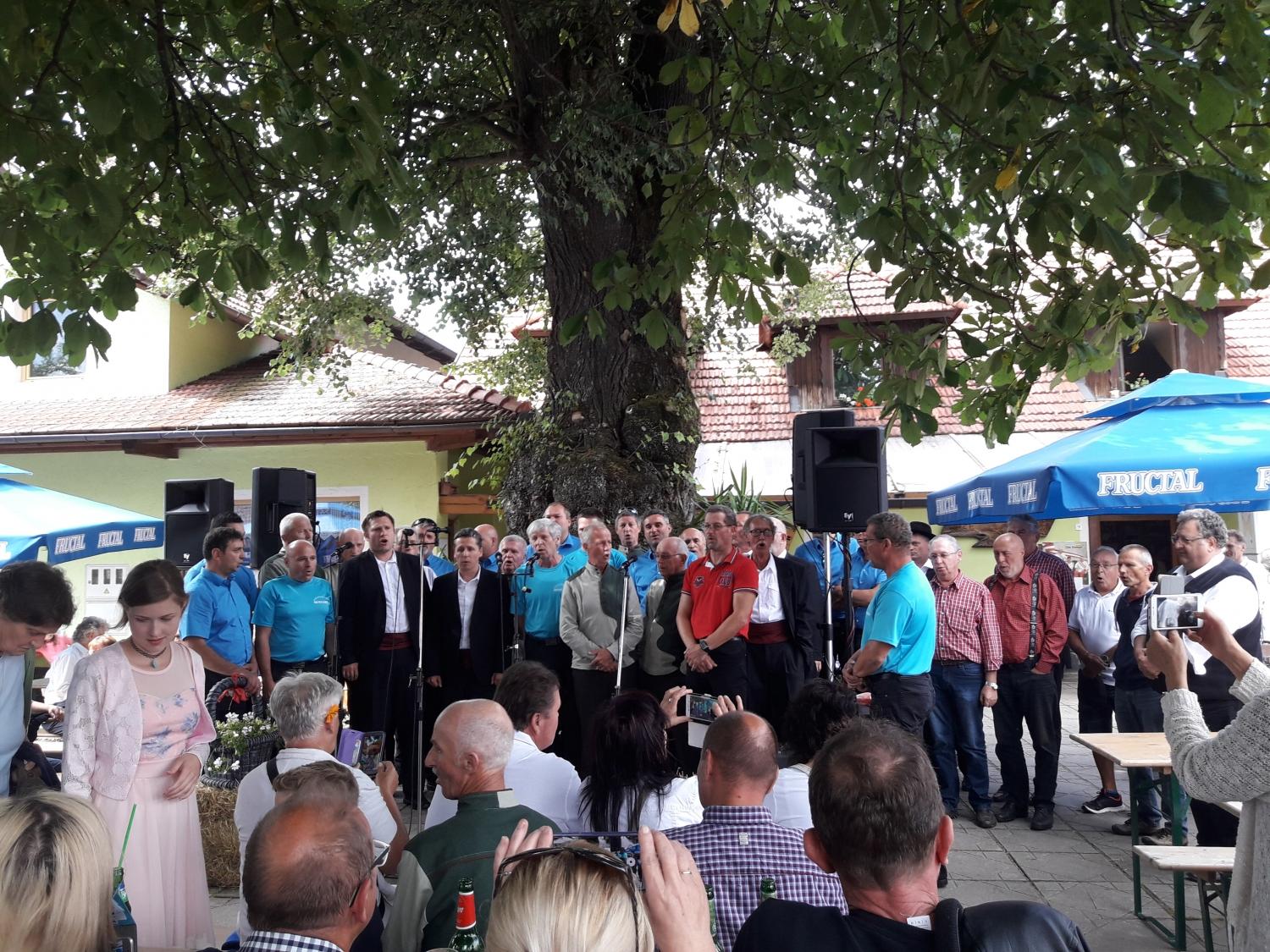 Pod lipo pri Marinu bo spet veselo. KD Šentanel vabi k sodelovanju glasbene skupine in društva