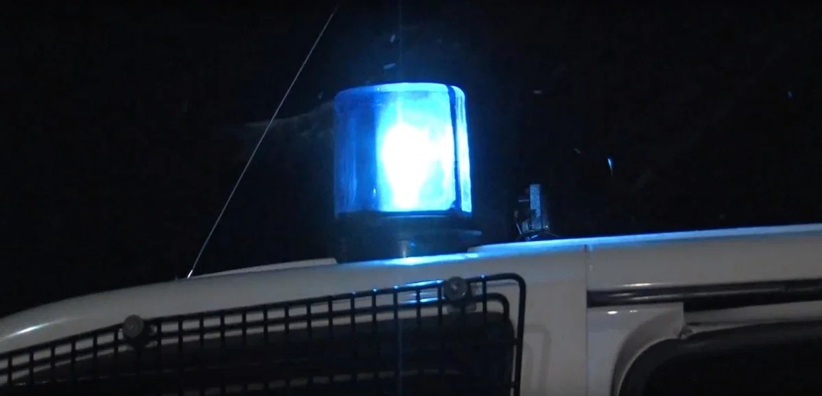 Drzno bežal pred policijo in povzročil prometno nesrečo (VIDEO)