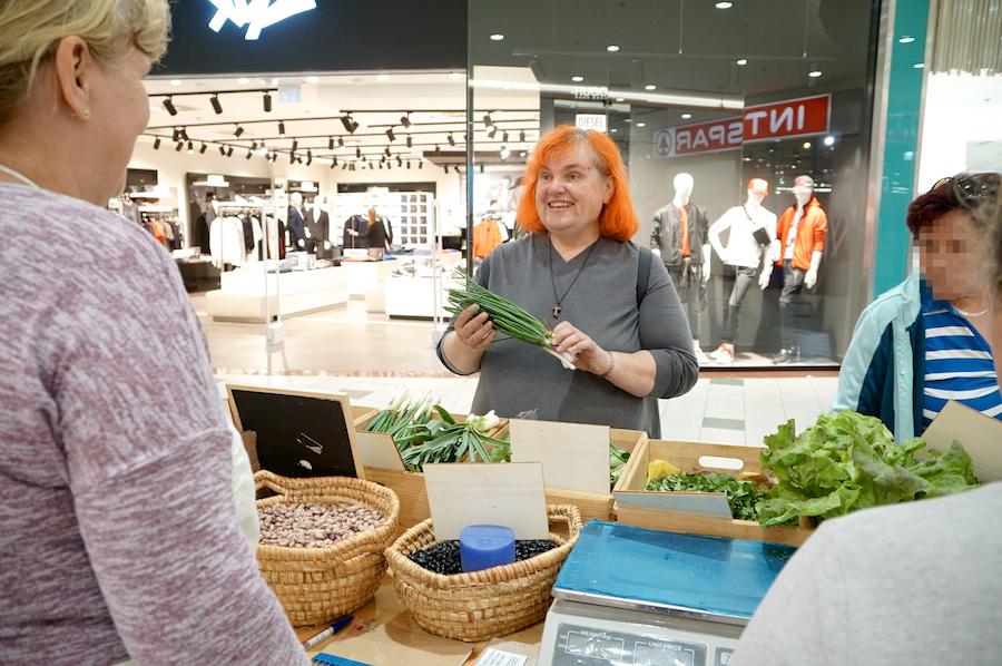 Dragoceni nasveti za vrtnarjenje: Nad rdeče polže kar s pivom