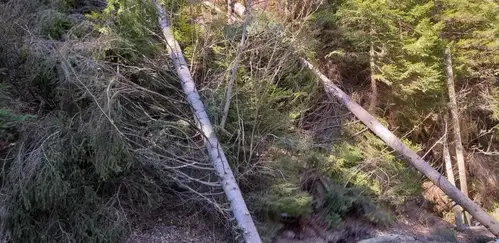 Zaradi posledic močnega vetra zaprte ceste in težave pri oskrbi z elektriko