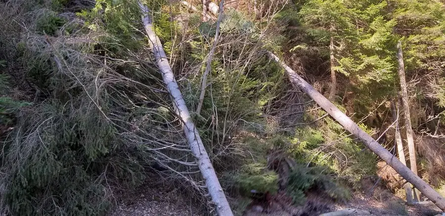 Zvečer in ponoči ob nevihtah možni močni sunki severnega vetra, ARSO izdal trikratno oranžno opozorilo