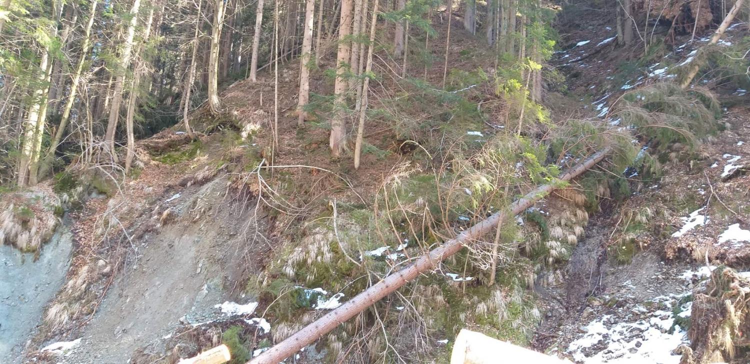 Vremenoslovci opozarjajo! Jugozahodni veter se krepi, ponekod bo pihal do 150 km/h (FOTO)