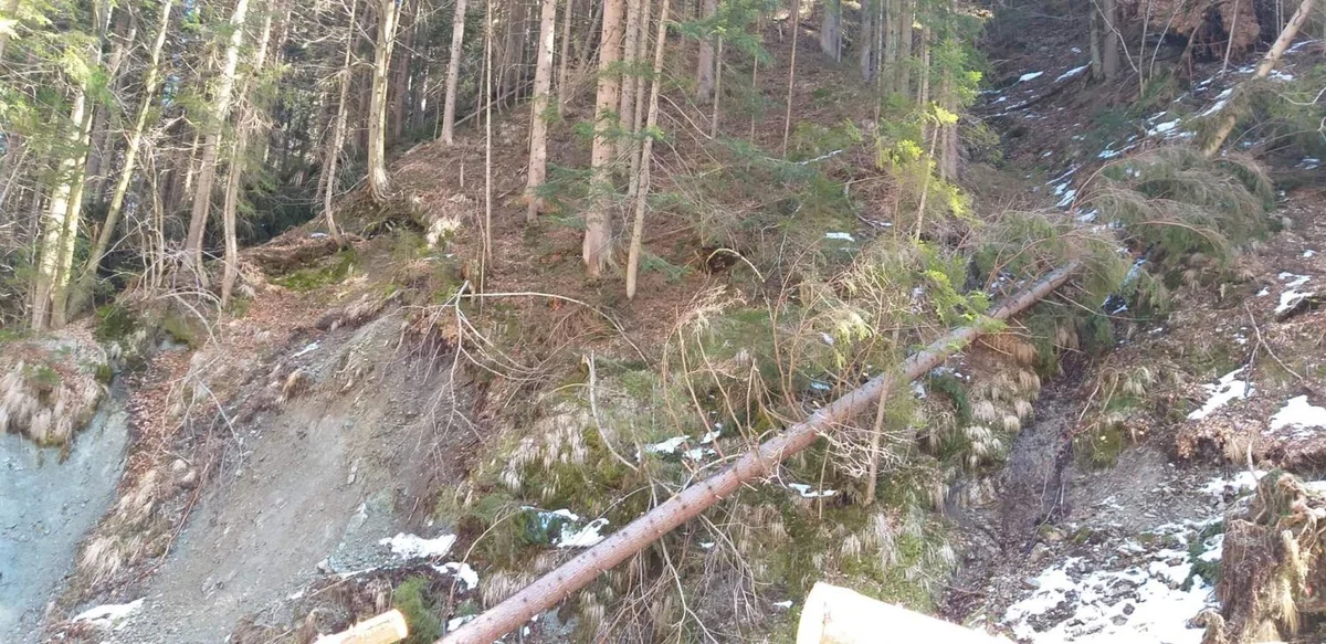 Vremenoslovci opozarjajo! Jugozahodni veter se krepi, ponekod bo pihal do 150 km/h (FOTO)