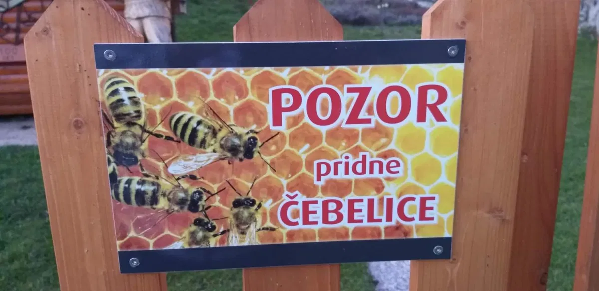 DZ sprejel zakon o nagradi zlata čebela