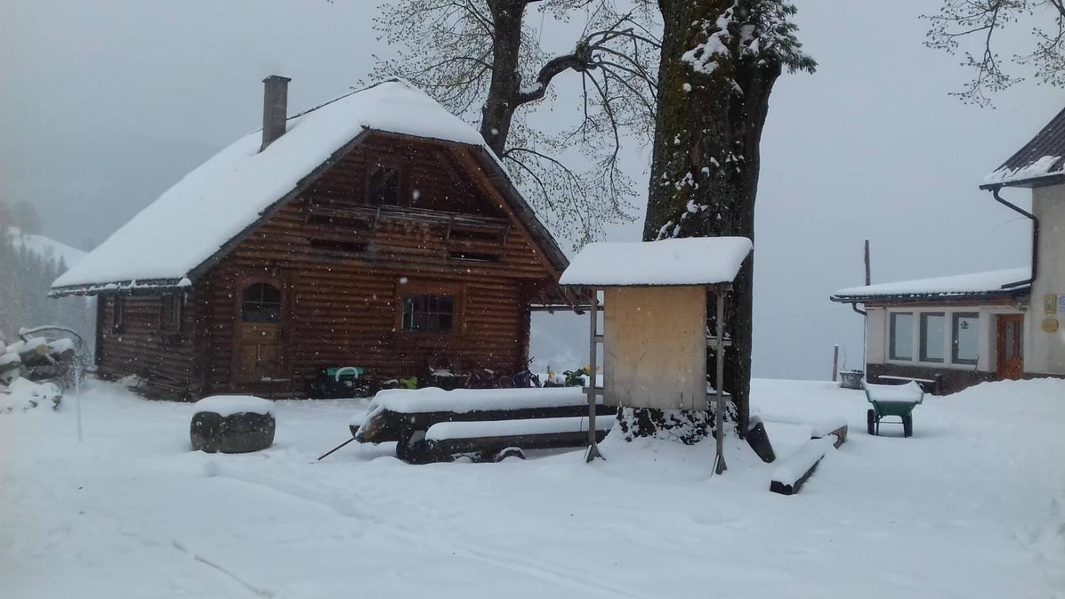 Smo sredi maja, ampak zima se še ni poslovila (FOTO)