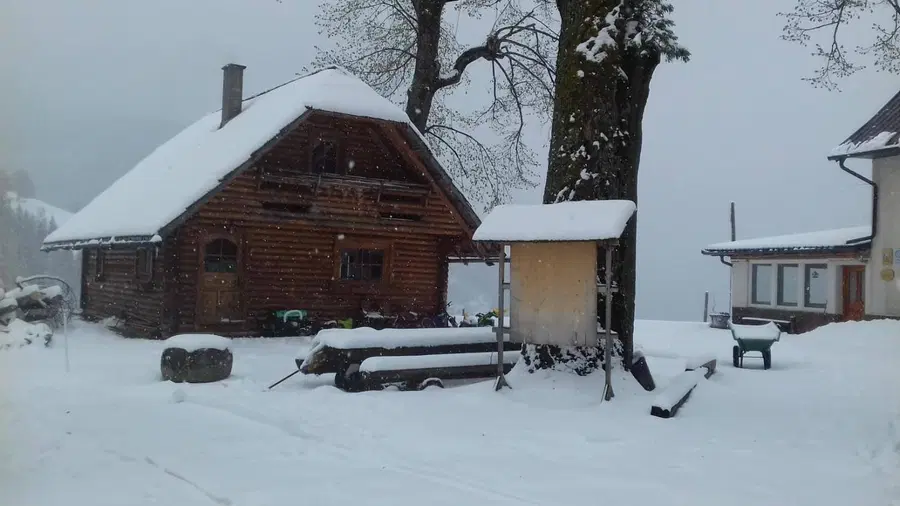 Smo sredi maja, ampak zima se še ni poslovila (FOTO)