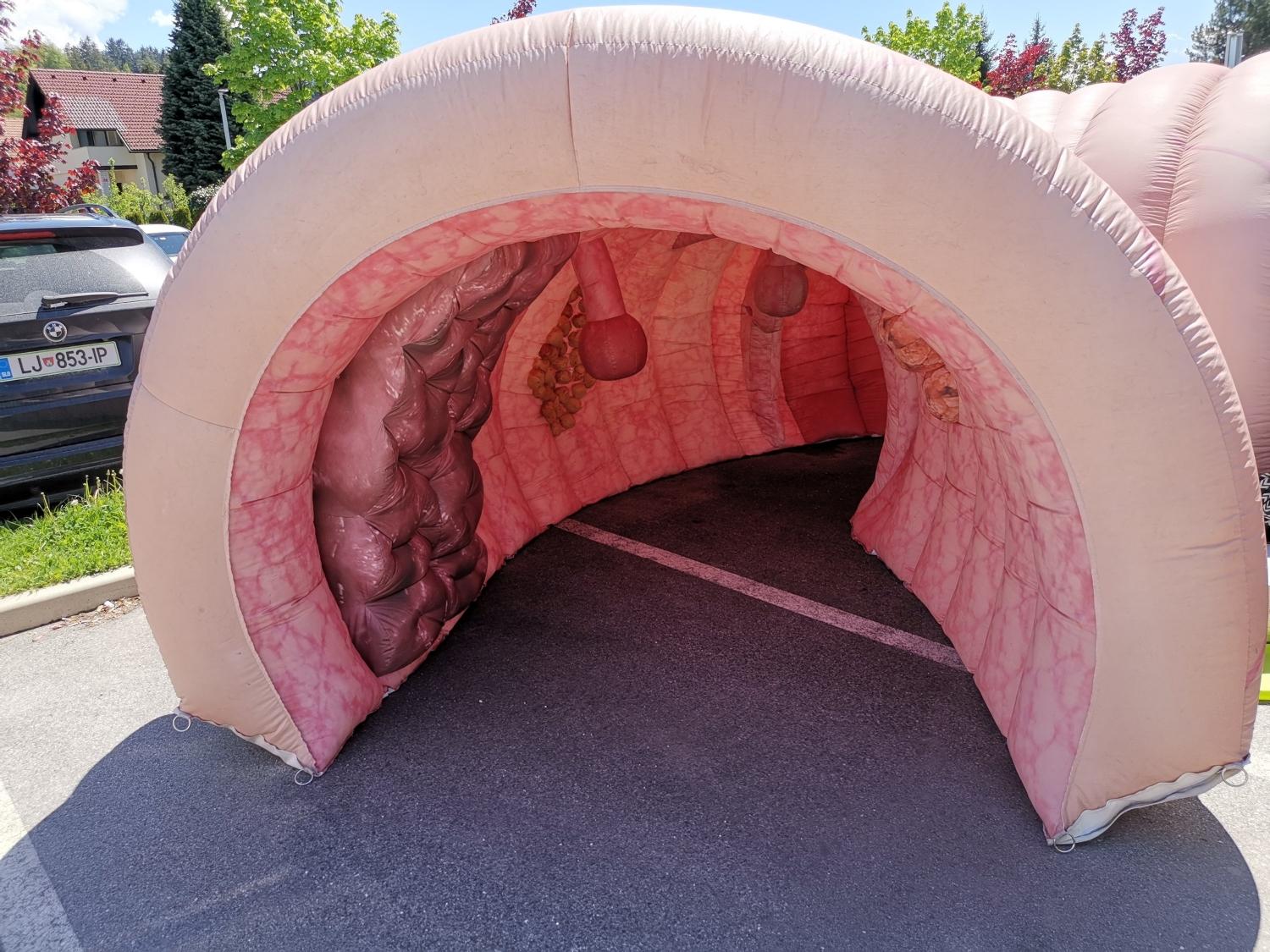 V ZD Slovenj Gradec je potekal dan odprtih vrat "Mar mi je za moje zdravje" (FOTO)