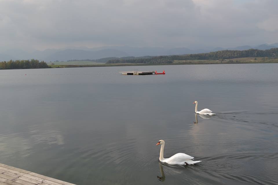 V Velenjskem jezeru se je utopil 22 letni plavalec