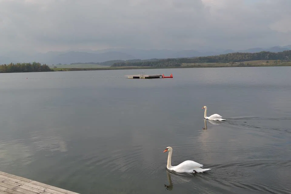 V Velenjskem jezeru se je utopil 22 letni plavalec