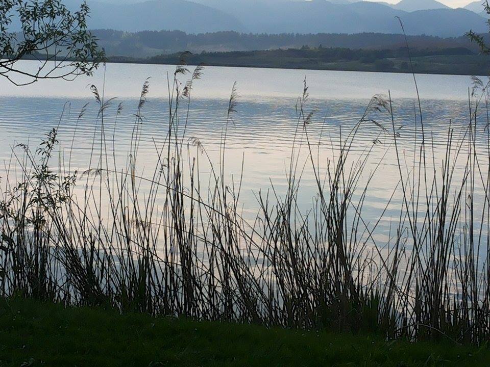 Znanih več podrobnosti dogajanja na Velenjskem jezeru, kjer je življenje izgubil 22 letni fant