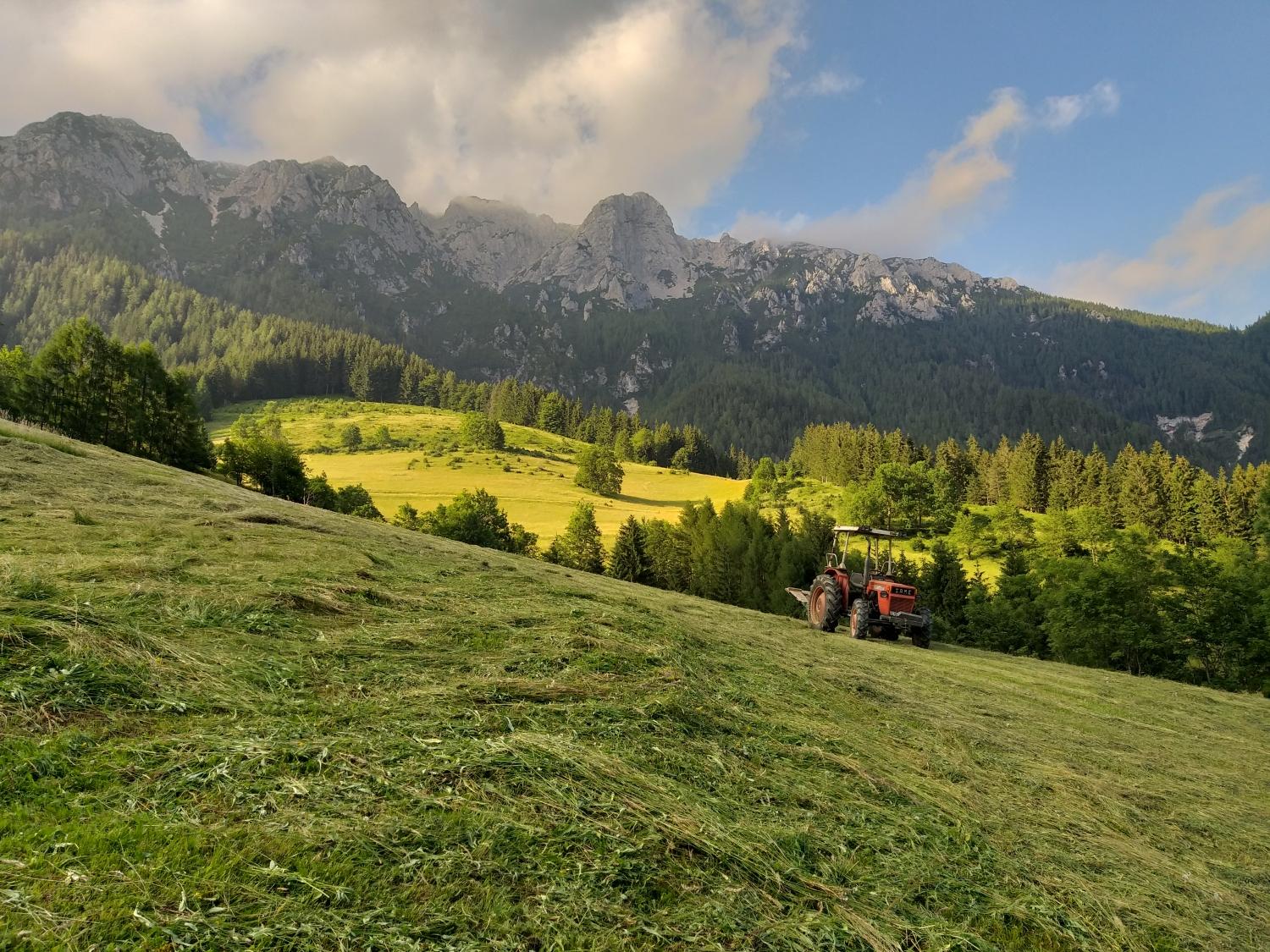Neokrnjena narava vabi v dolino Tople, kjer boste uživali v vonju sveže pokošene trave in šumenju potoka (FOTO)