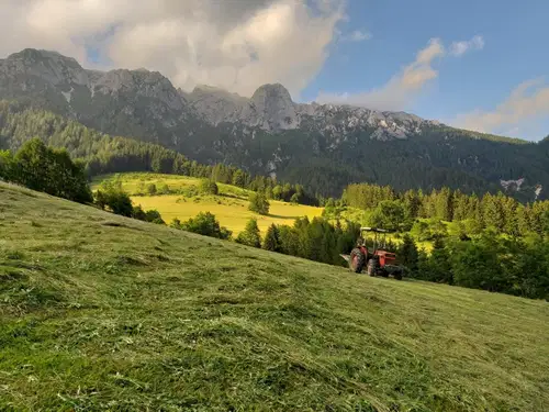 V ponedeljek začetek oddaje zbirnih vlog v kmetijstvu. Letos na voljo 230 milijonov evrov
