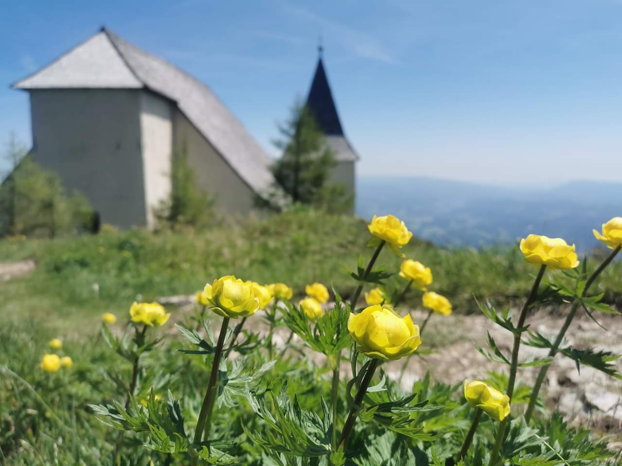 Na dan državnosti bo v cerkvi sv. Uršule na Uršlji gori darovana maša