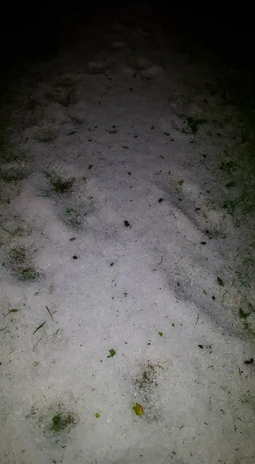 Drožomanija Korošice Anite Šumer na Kitajskem prejela nagrado za najboljšo knjigo (FOTO in VIDEO)
