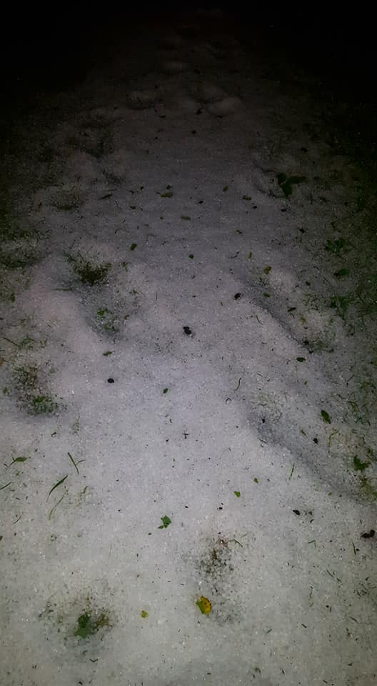 Drožomanija Korošice Anite Šumer na Kitajskem prejela nagrado za najboljšo knjigo (FOTO in VIDEO)