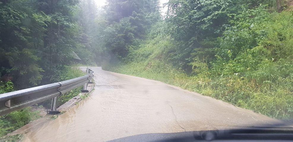 Trebnje: Martina Podričnik nagrajenka natečaja »Zgodbe o dobrih ljudeh« (FOTO)