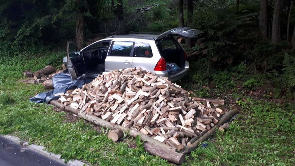 Z osebnim vozilom zapeljala s cestišča in trčila v drva