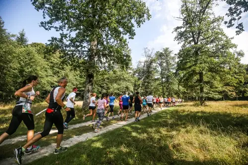 Udeležite se 8. Triglav teka in podprite dogodek za boljšo oskrbo novorojenčkov