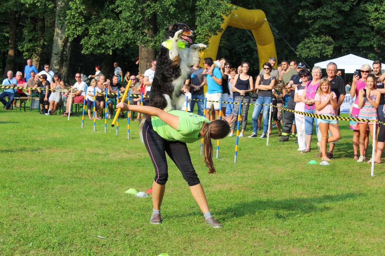 V Grajskem parku z dobrodelnim druženjem in tekom zbrali lepo vsoto denarja za pomoči potrebne živali (FOTO in VIDEO)