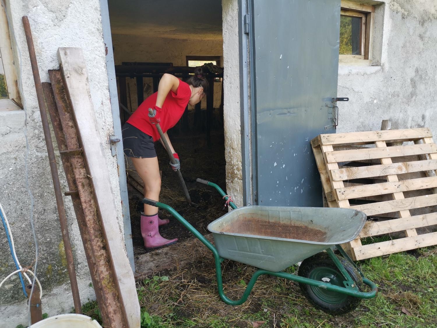 Kdo si zasluži državno priznanje na področju prostovoljstva? Prijave so odprte...