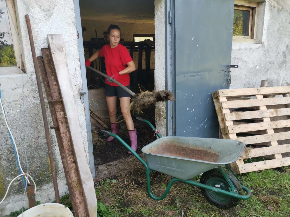 Summerjob: 60 mladih prostovoljcev poprijelo za delo in pomagalo pomoči potrebnim Korošcem (VIDEO in FOTO)