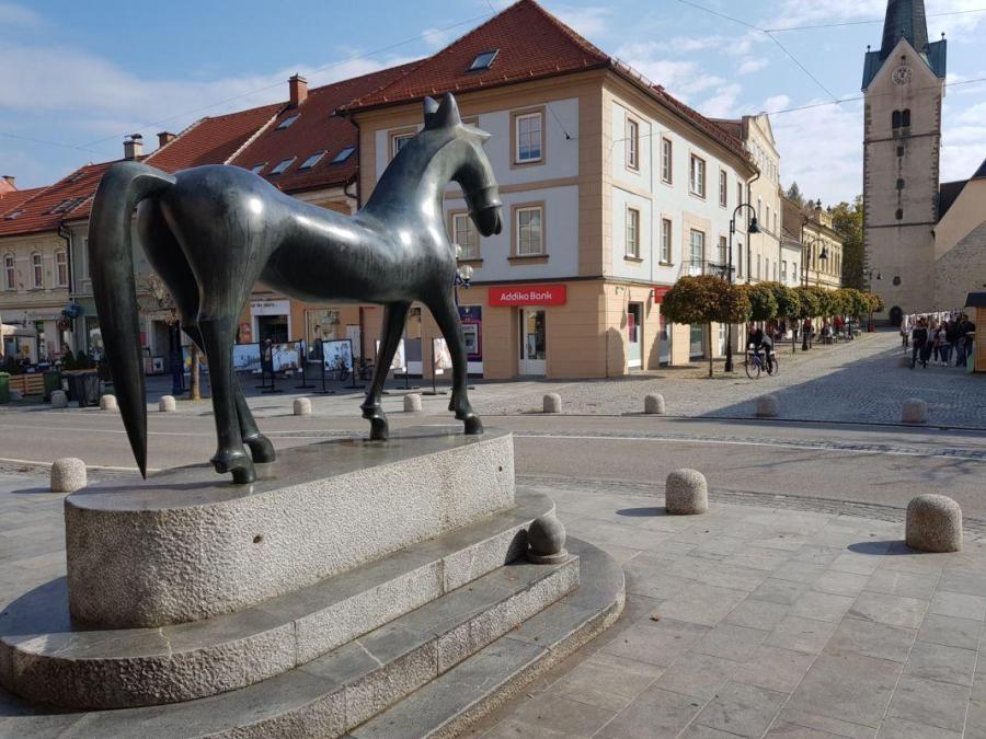 Za samozaposlene v Slovenj Gradcu 1000 evrov. Čas za prijavo na razpis se izteka