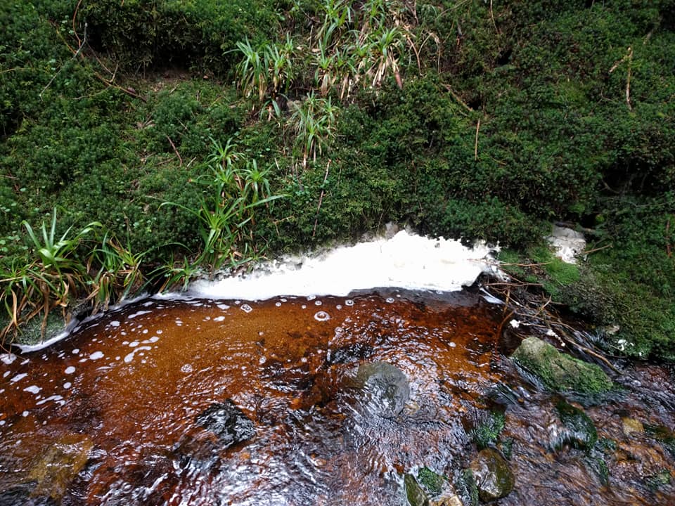 Na reki Mislinji v Slovenj Gradcu opazili bele madeže