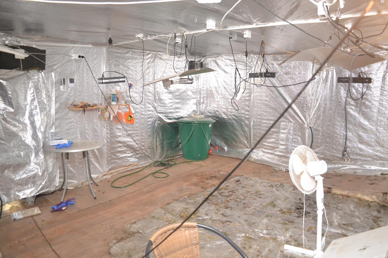 Policisti v Mislinji našli prirejen prostor za gojenje konoplje