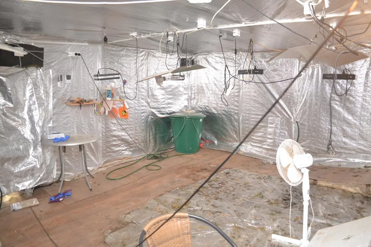 Policisti v Mislinji našli prirejen prostor za gojenje konoplje