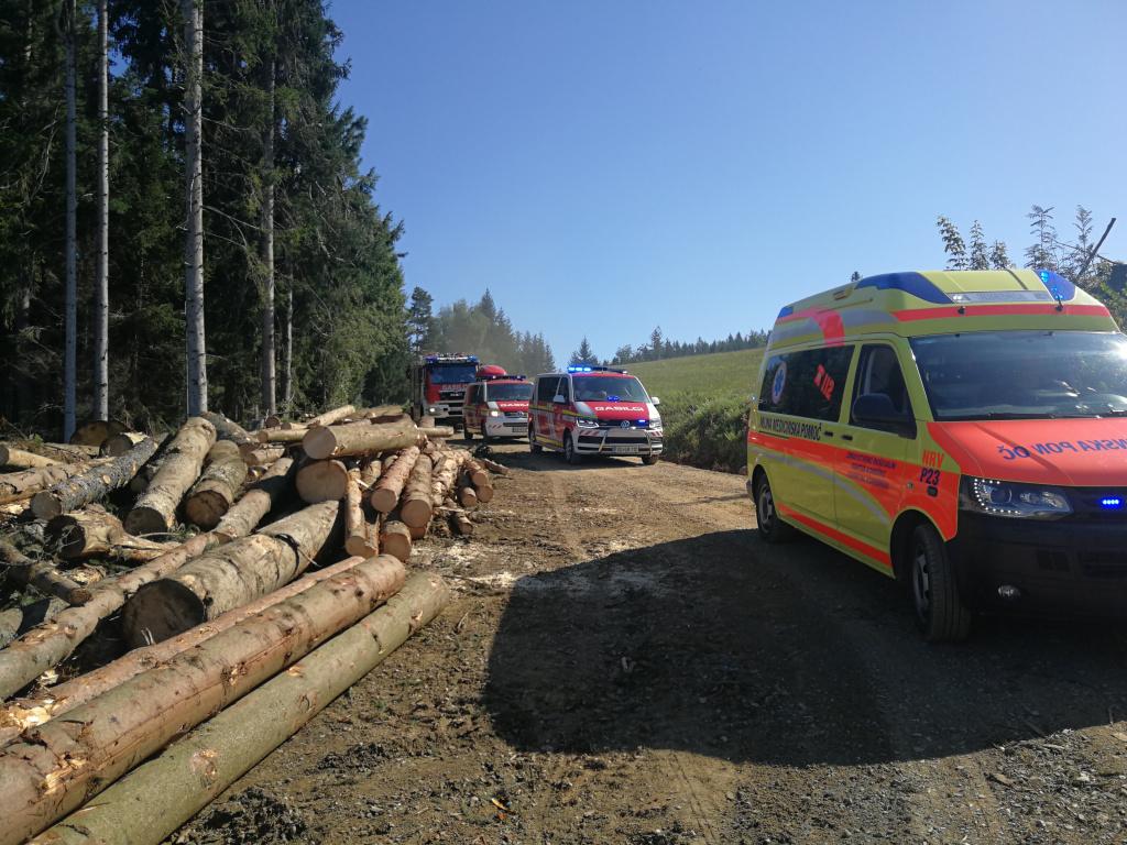Hudo poškodovanega gozdarja s helikopterjem prepeljali v UKC Maribor