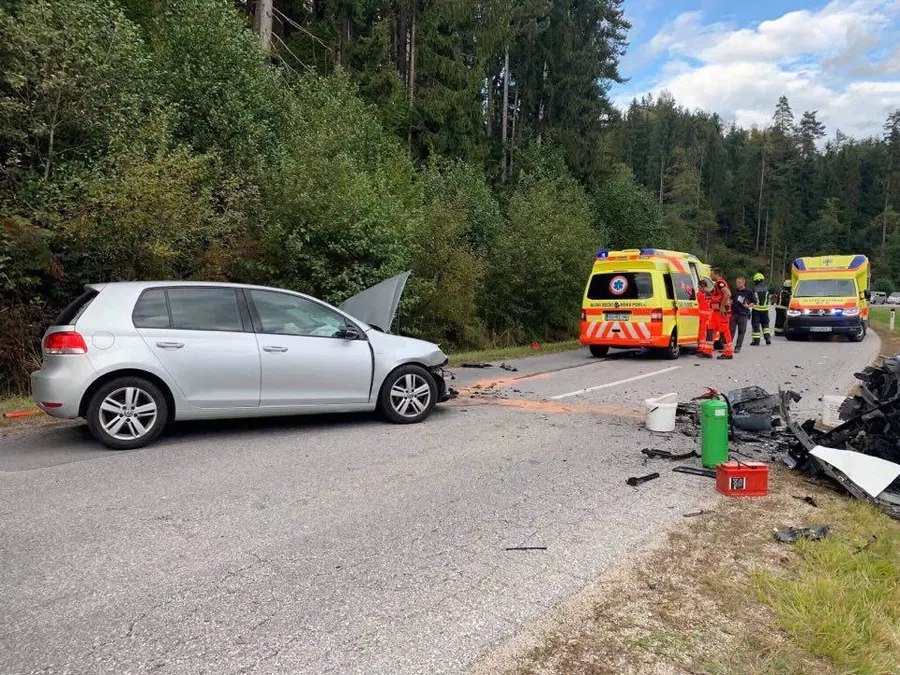 V prometni nesreči na Selah poškodovane štiri osebe in pes (FOTO)