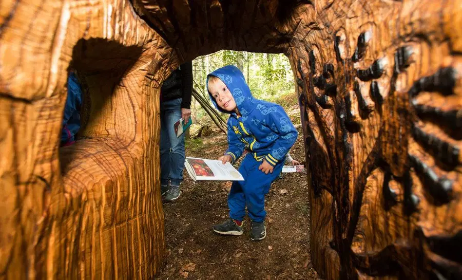 Naj družinski izlet – Alpake tudi na Koroškem!