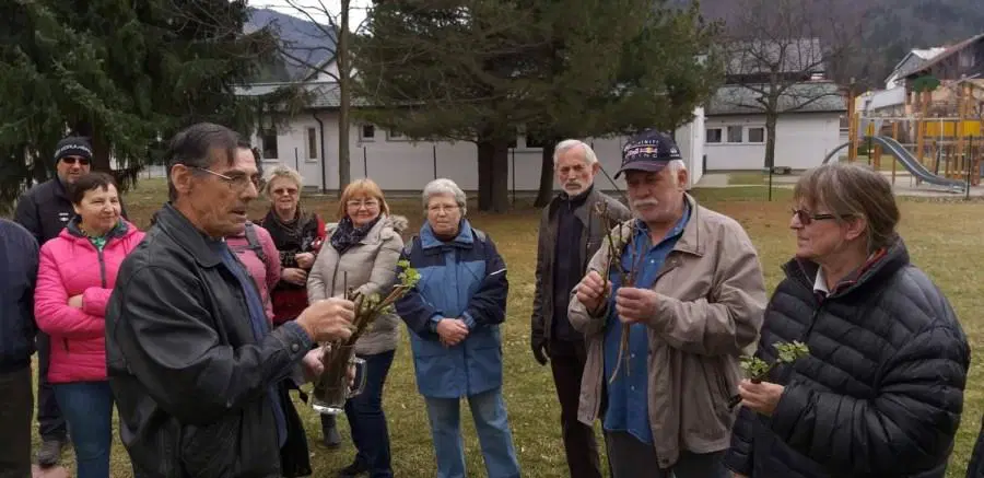 V Mežico na trgatev, pečen kostanj in jabolčni mošt
