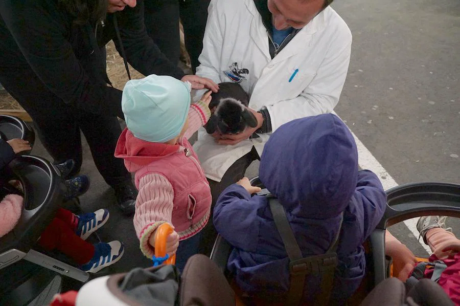 Razstava malih živali navdušila obiskovalce Europarka (FOTO)