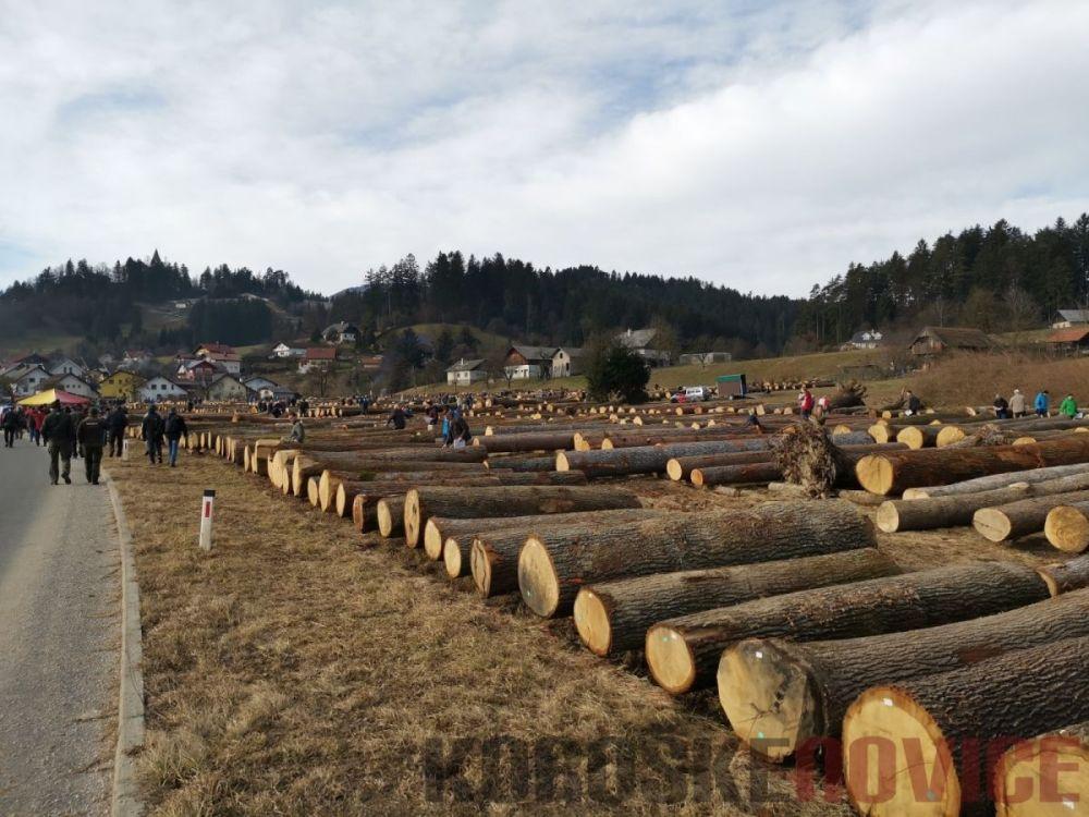 Na območju Črne ukradli hlodovino