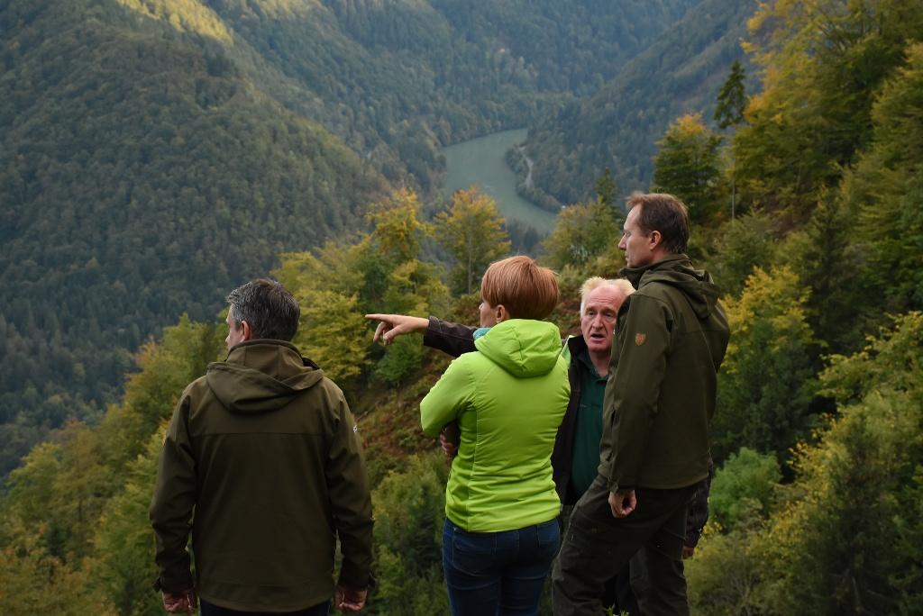 Kmetijska ministrica na ogledu poškodovanih gozdov v Dravski dolini (FOTO)