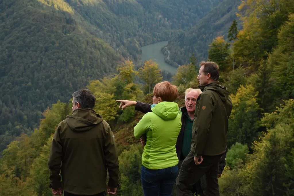 Kmetijska ministrica na ogledu poškodovanih gozdov v Dravski dolini (FOTO)